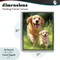 Stupell Industries Father & Son Labrador Floating Frame, design by Momart